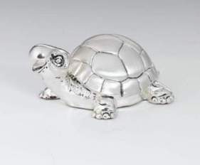 Satin Silver Turtle